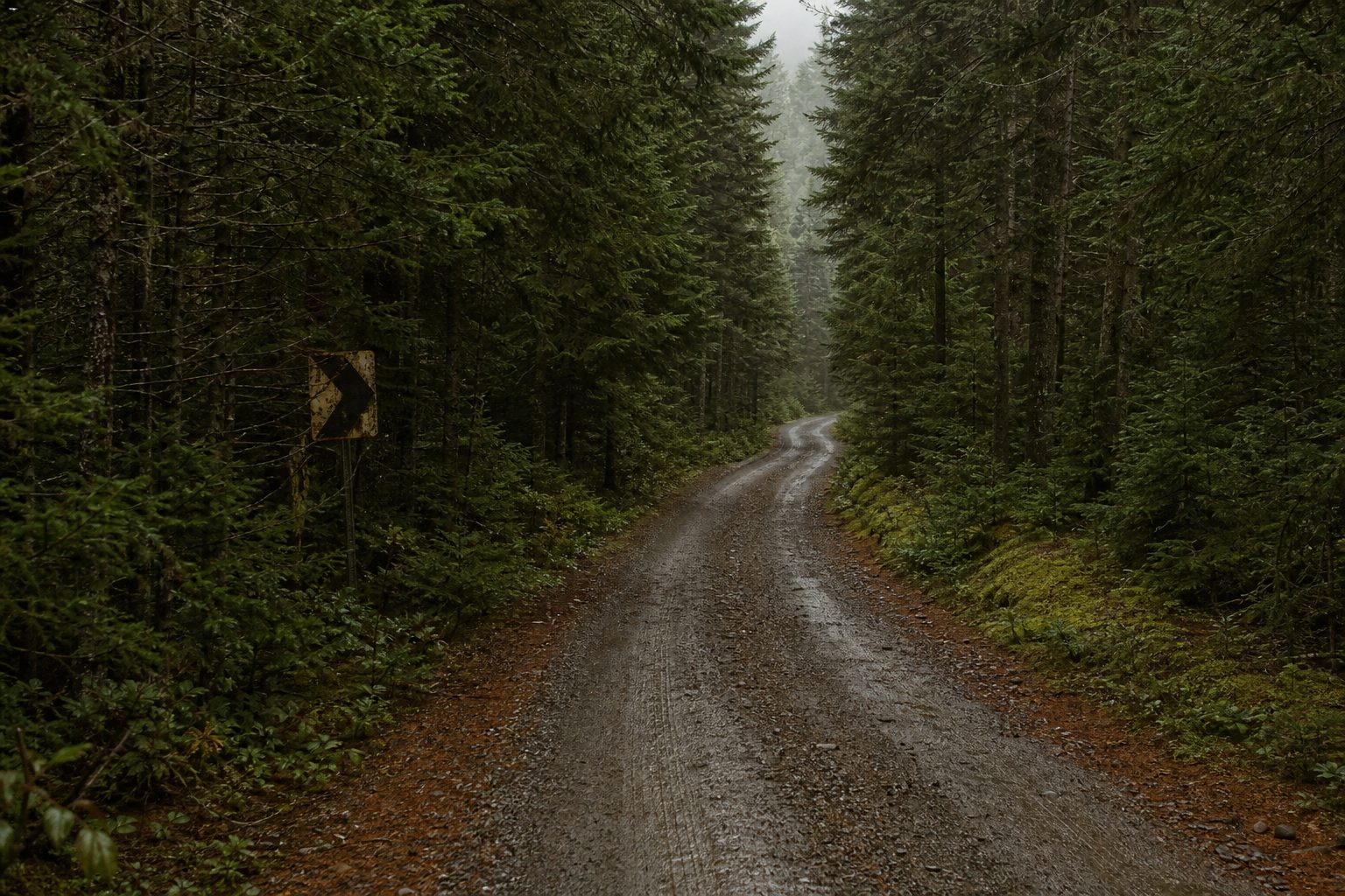 Le chemin de gravelle qui entre dans les pins vers Chimoubongo